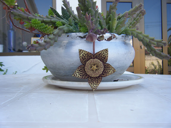 2011_10090001.jpg
