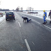 Ingezonden winterfoto\'s 2011-2012_18.jpg
