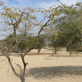 Piura - jak to wyglada