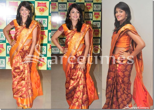 Krupali_Traditional_Silk_Saree Krupali_Traditional_Silk_Saree