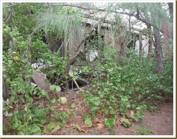 Normans cay 028 Normans cay 028