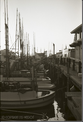 Fishermans Wharf Sundown 82 8