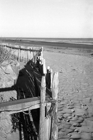 Sand-Dune-Fencing-8