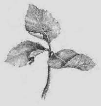 [clip_image0013.jpg]