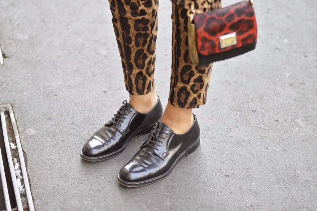 [_DSC0769---Copia5.jpg]