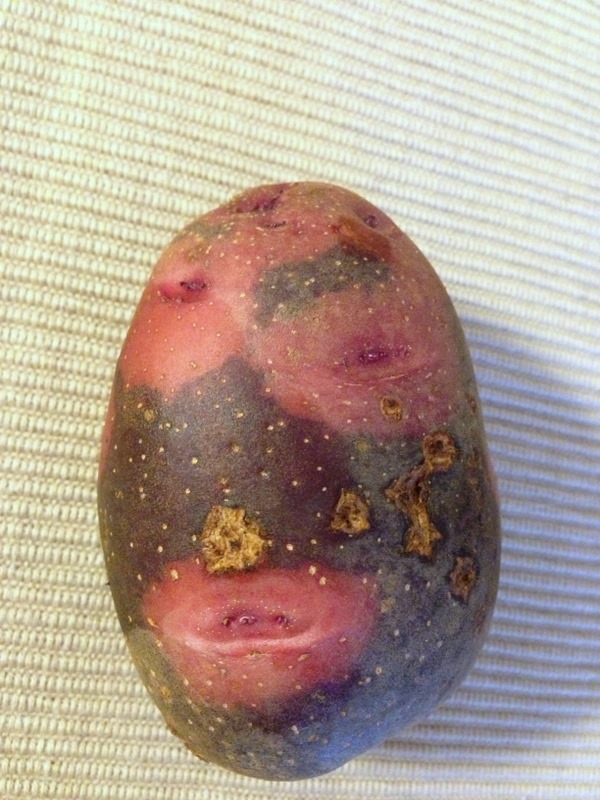 [2013-06-28%252018.32.44%255B3%255D.jpg]