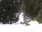 2010-04-25 14.58.08.jpg
