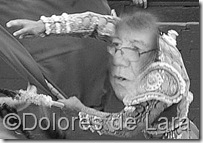 D.OLANO Y EL TORO