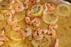 IMG_1849 IMG_1849