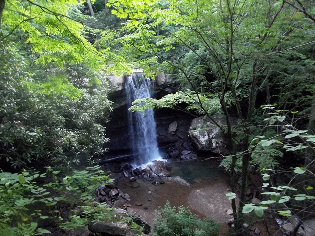 [Ohiopyle%2520State%2520Park%2520065.jpg]