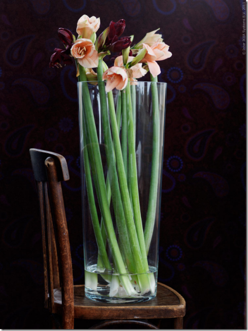 ikea_winter_floral_arrangement