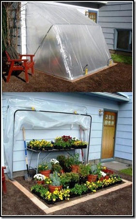 greenhouse convertible