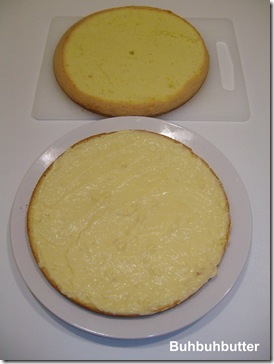 Pan di spagna torta di frutta Pan di spagna torta di frutta