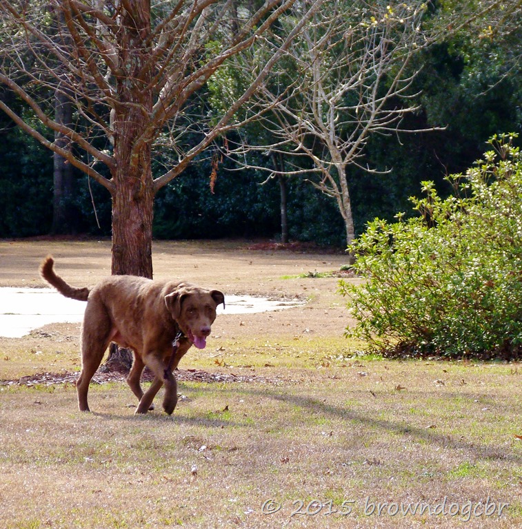 [P1480618%255B10%255D.jpg]