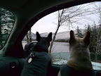 Exploring Maine