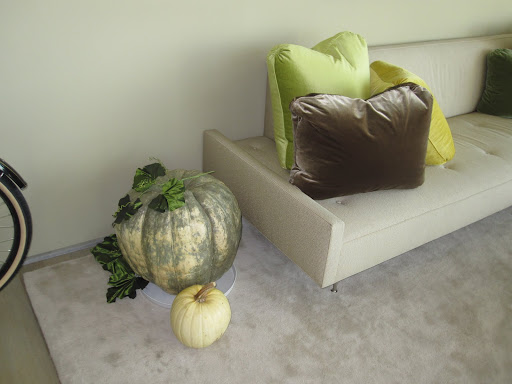 There were several pumpkins around my apartment.