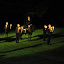 DSC_2751.JPG