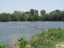 IMG_3599.jpg