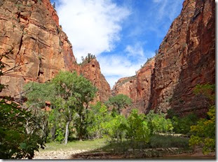 Zion National Pk 084