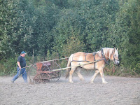 main0e62.jpg