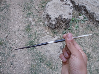 DSCN3867.jpg