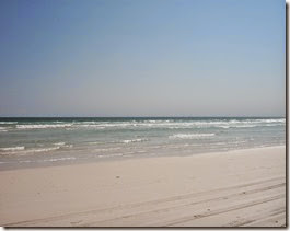 IMG_0597 IMG_0597