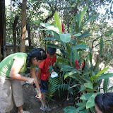 DSCN0696.JPG