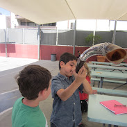Rosh Hashana 010.jpg