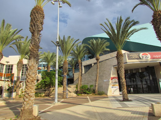 IMG_6482 - копия.JPG