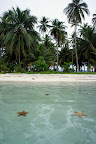 DSC03071.JPG