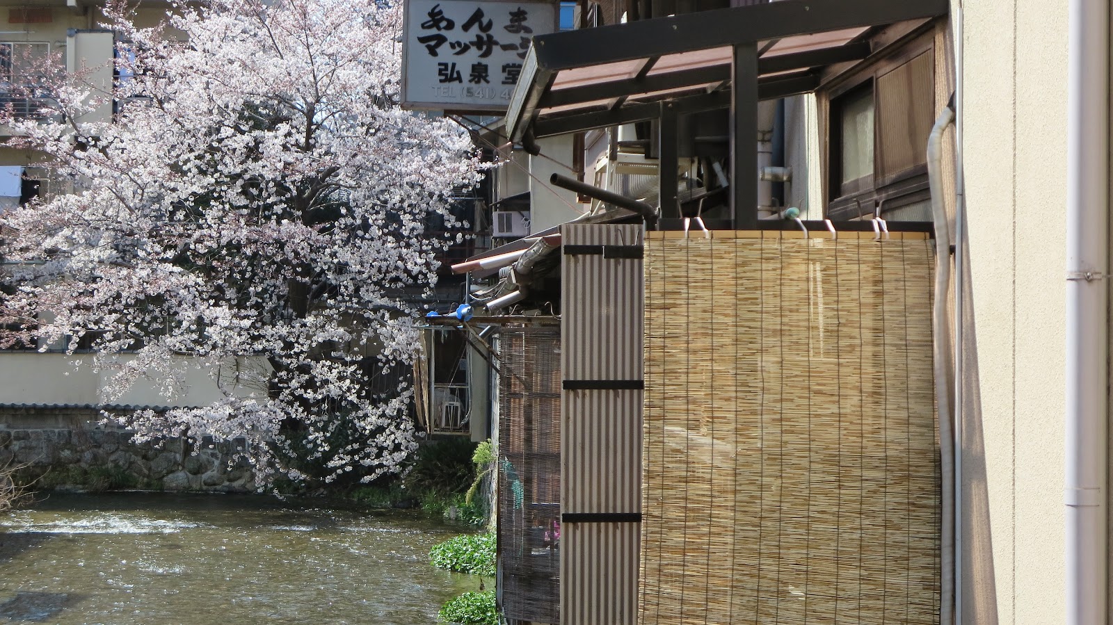 [IMG_2574%255B3%255D.jpg]