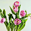 0IMG_3447.JPG