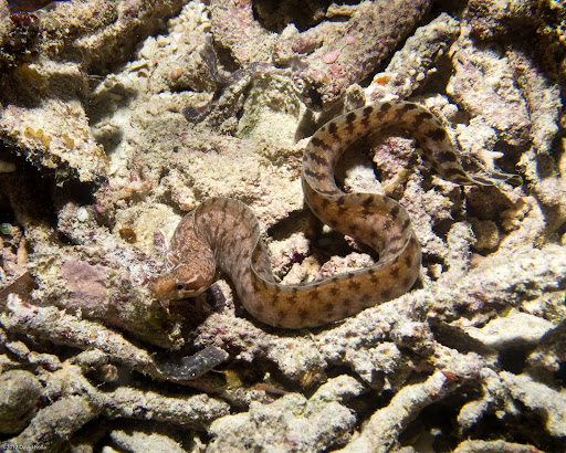 P7054725
