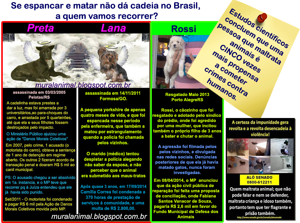 [agressao_animais_brasil%255B1%255D.png]