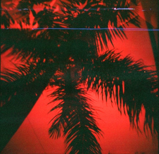 47030062 47030062