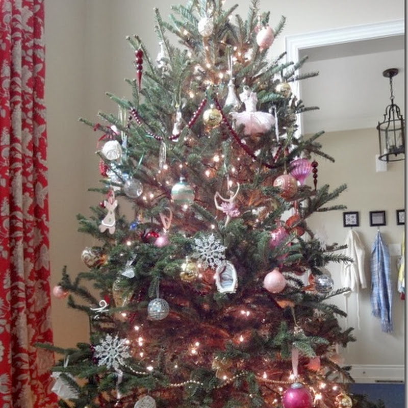 O Christmas Tree!