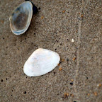 20100822_130_small.JPG