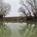 IMG_1557.JPG