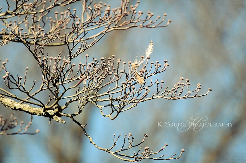 [DSC_3270-copy-25.jpg]