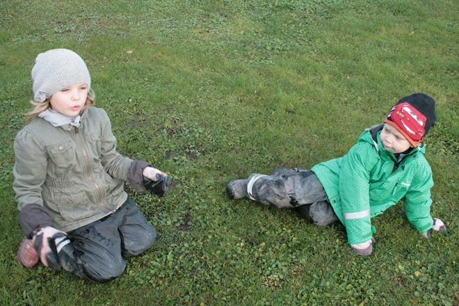 IMG_3969 IMG_3969