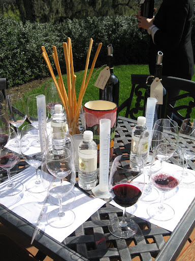 We then went out back, where Stefanie had set up a table for us to start our wine blending.