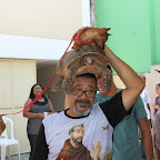 Benção dos animais - Festa São Francisco