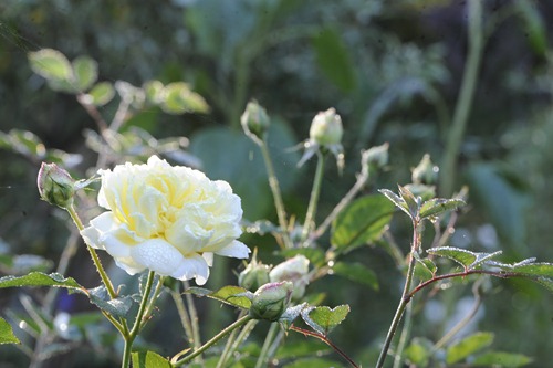 20101013_074308