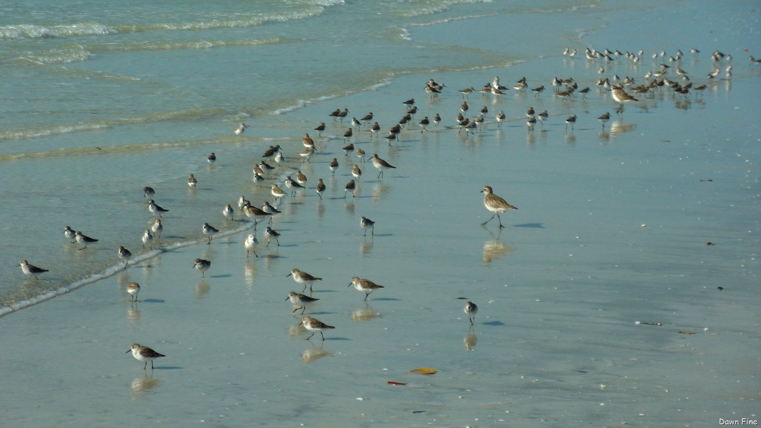 [morning%2520sanibel_117%255B2%255D.jpg]