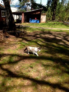 Jeremy loves being outside at the cottage