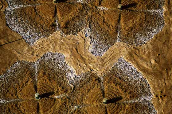 Bird's Eye View, its Beautiful