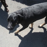 DSCN4676.jpg