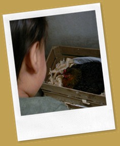 DSCN2955 DSCN2955