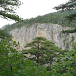 07055069.JPG