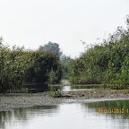 IMG_8170.JPG